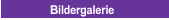 Bildergalerie